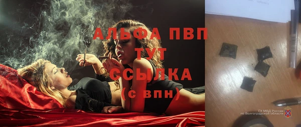 2c-b Бородино
