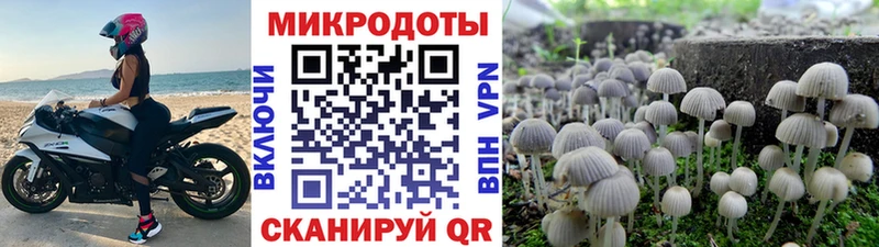 Галлюциногенные грибы GOLDEN TEACHER  Красноперекопск 