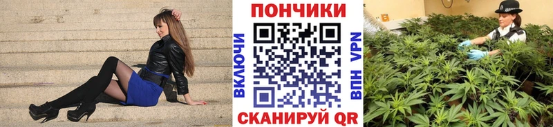 как найти наркотики  kraken как войти  Шишки марихуана THC 21%  Красноперекопск 